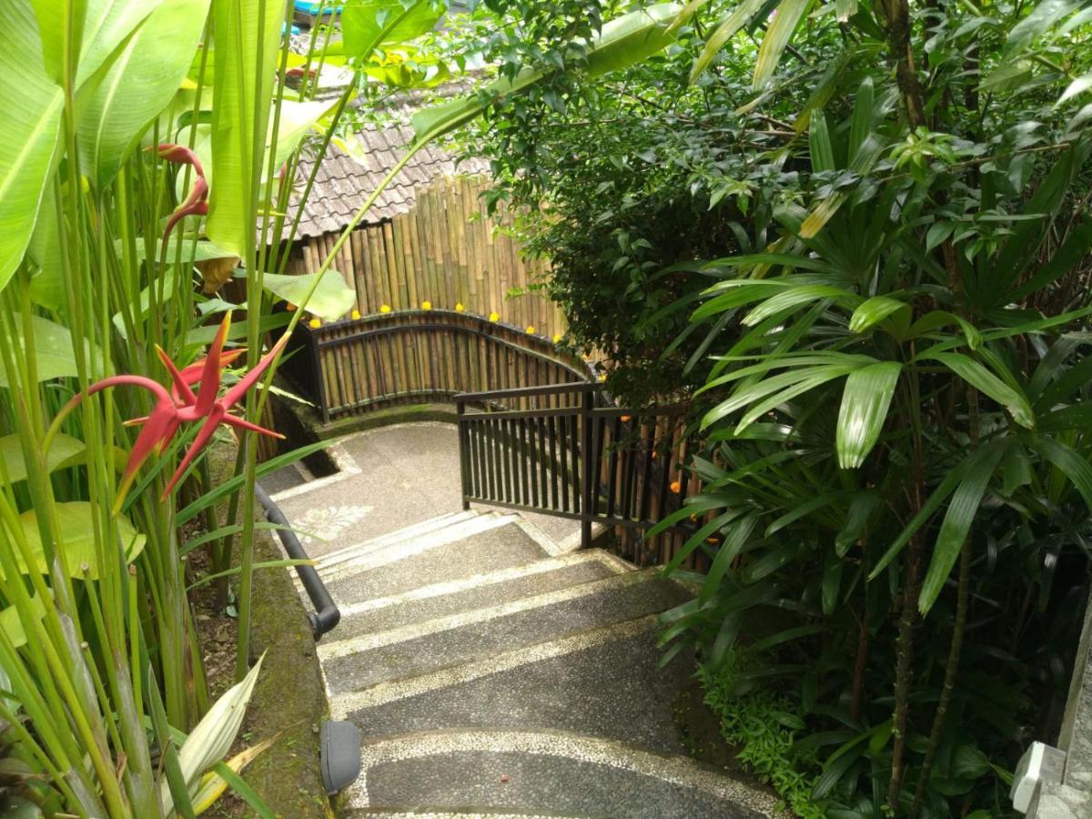 אובוד Rumah Kelinci מראה חיצוני תמונה