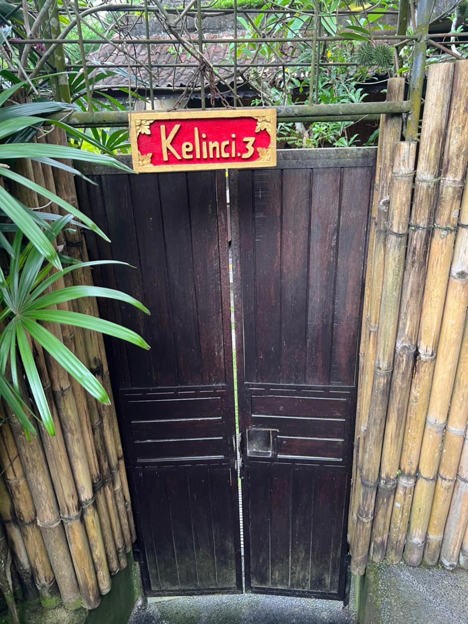 אובוד Rumah Kelinci מראה חיצוני תמונה